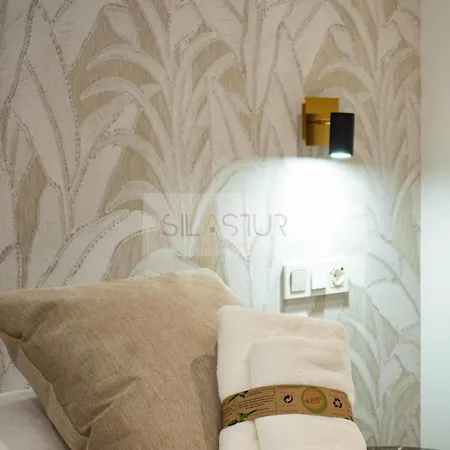 Ezcurdia Elite 1c By Silastur Apartamento Gijón